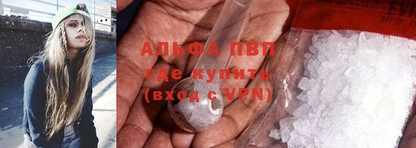 гидра Белокуриха