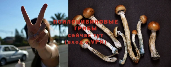 mdpv Балахна