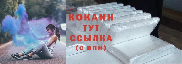 тгк Пересвет