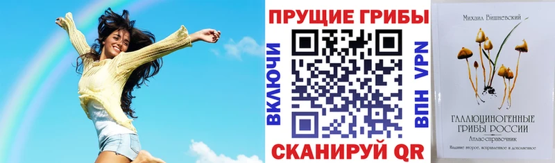 что такое наркотик  Закаменск  Галлюциногенные грибы GOLDEN TEACHER 